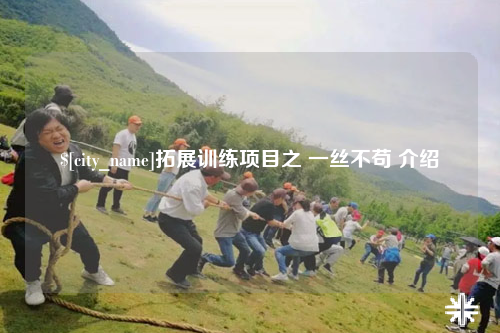 宜春拓展训练项目之 一丝不苟 介绍